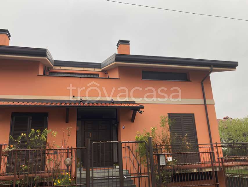 immagine annuncio 2 di 11