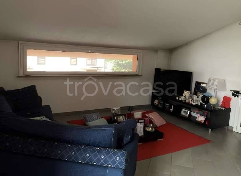 immagine annuncio 5 di 11