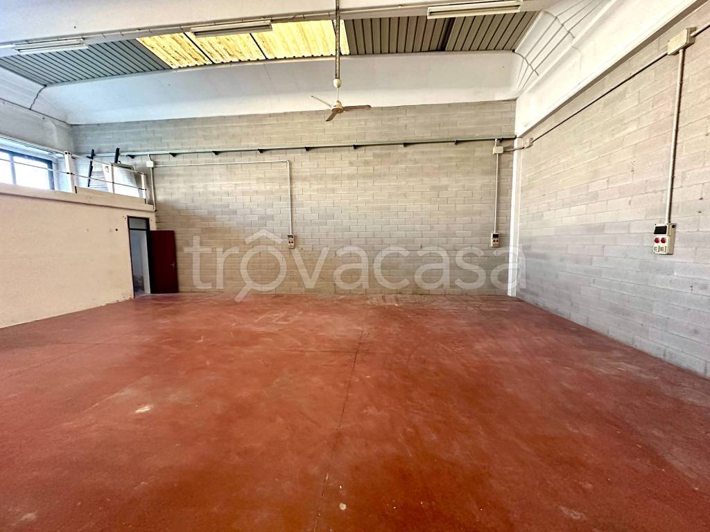 immagine annuncio 8 di 15