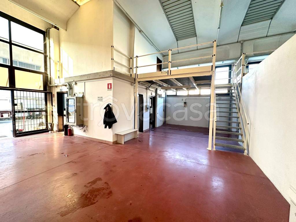 immagine annuncio 3 di 15