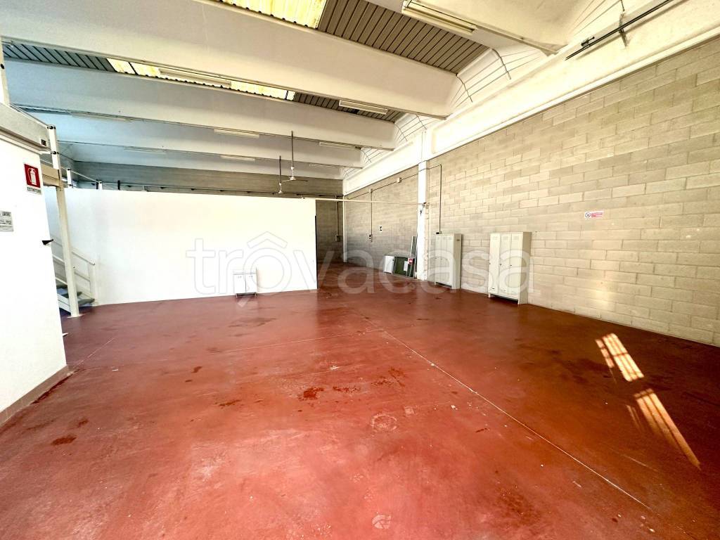 immagine annuncio 9 di 15