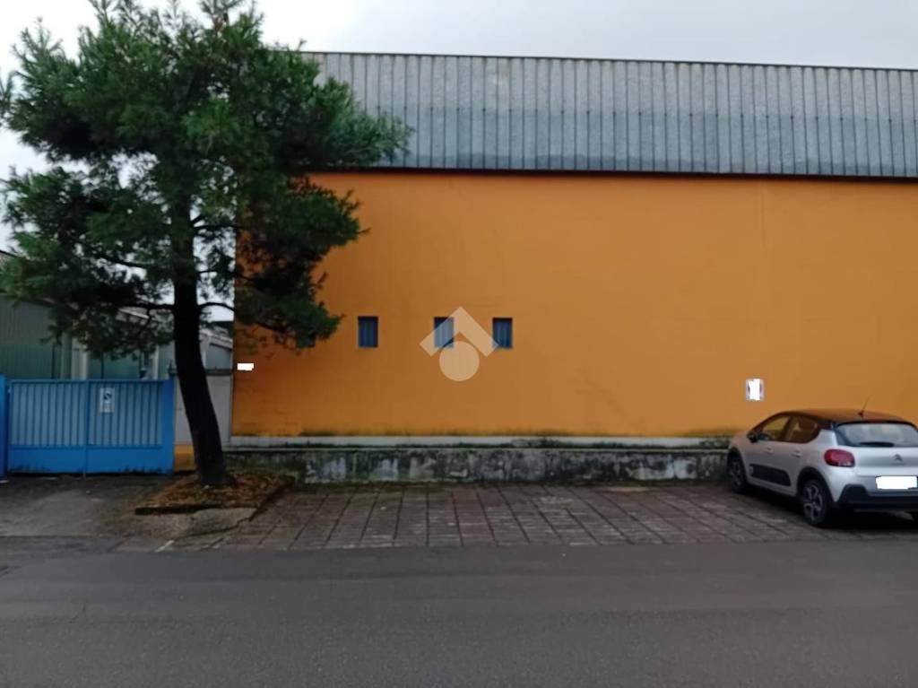 immagine annuncio 3 di 15