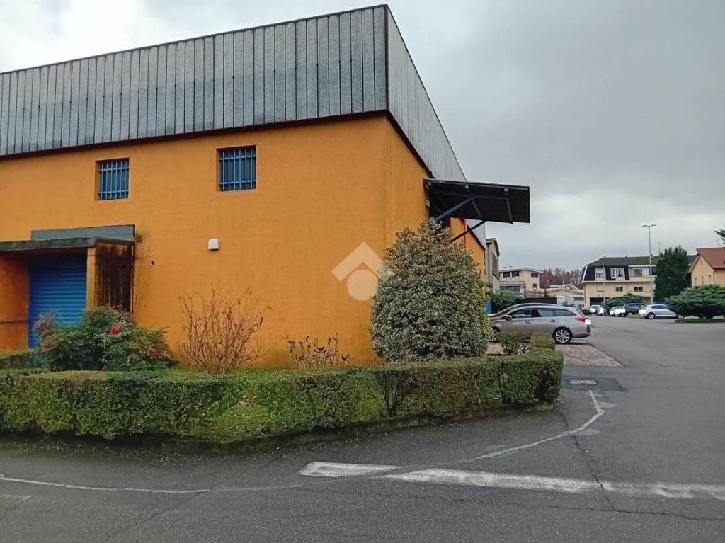 immagine annuncio 4 di 15