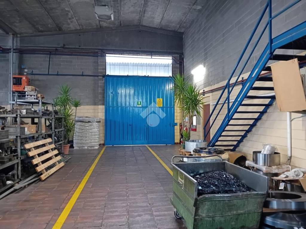 immagine annuncio 5 di 15