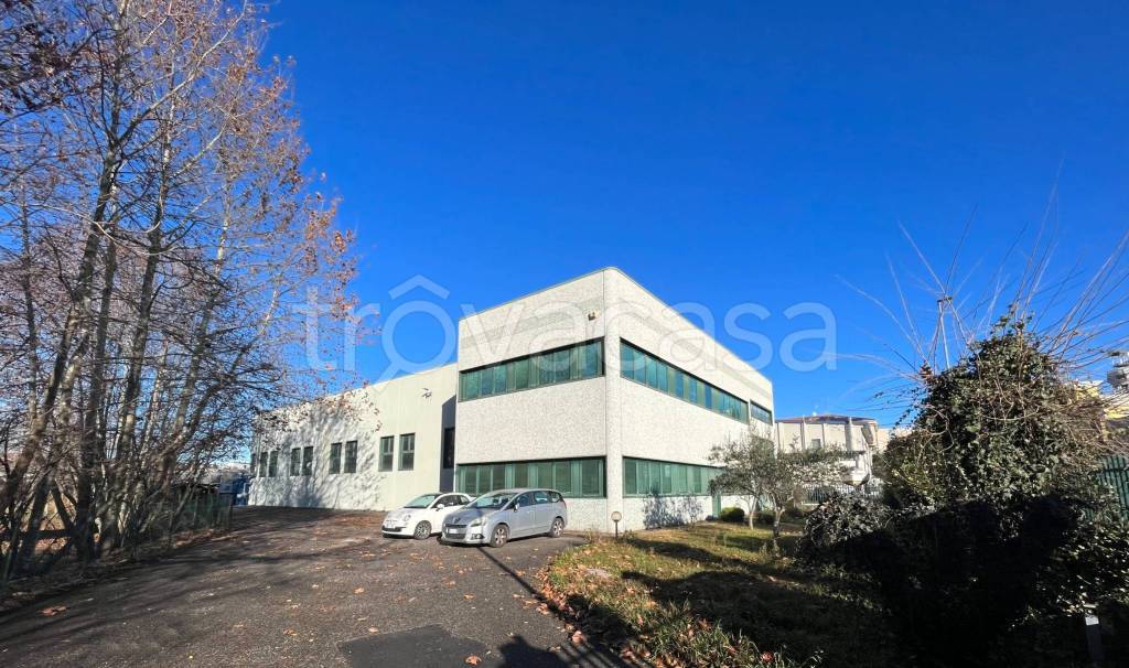 immagine annuncio 10 di 15