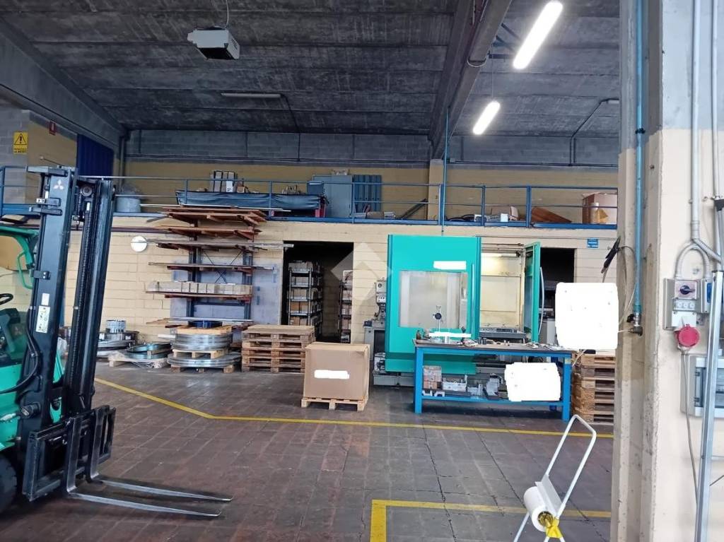 immagine annuncio 10 di 15