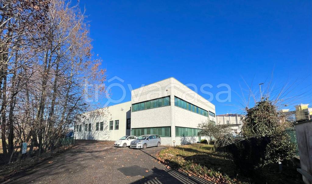 immagine annuncio 12 di 15