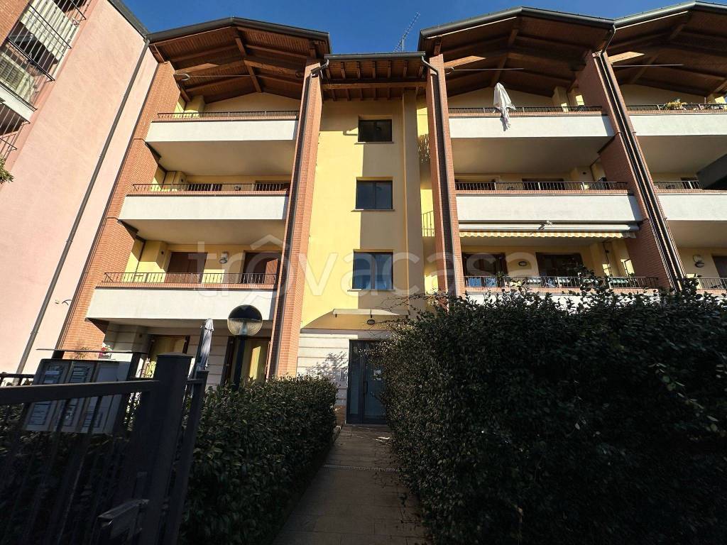 immagine annuncio 1 di 15