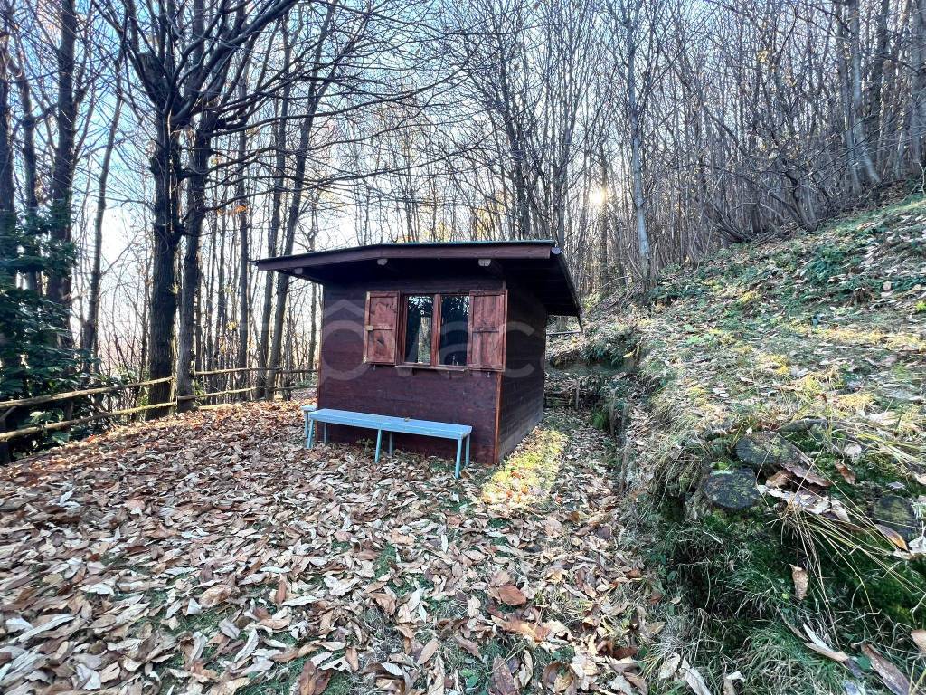 immagine annuncio 6 di 11