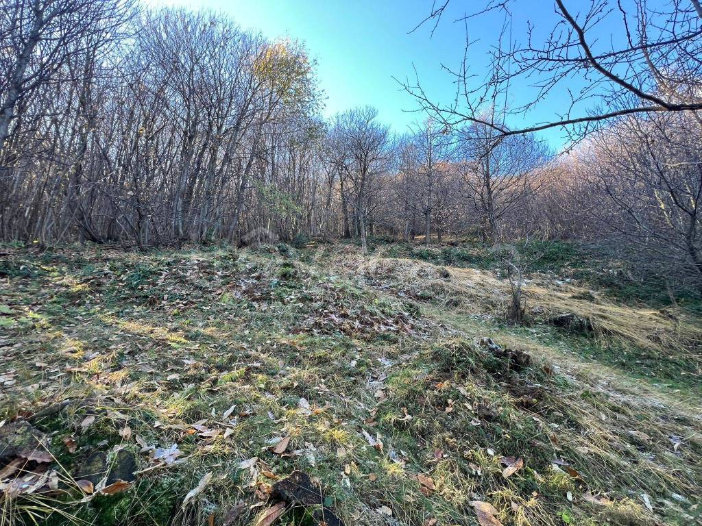 immagine annuncio 8 di 11