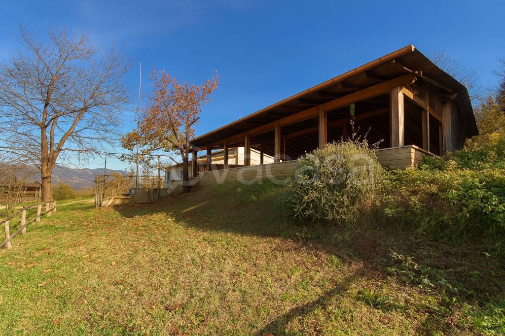 immagine annuncio 4 di 13