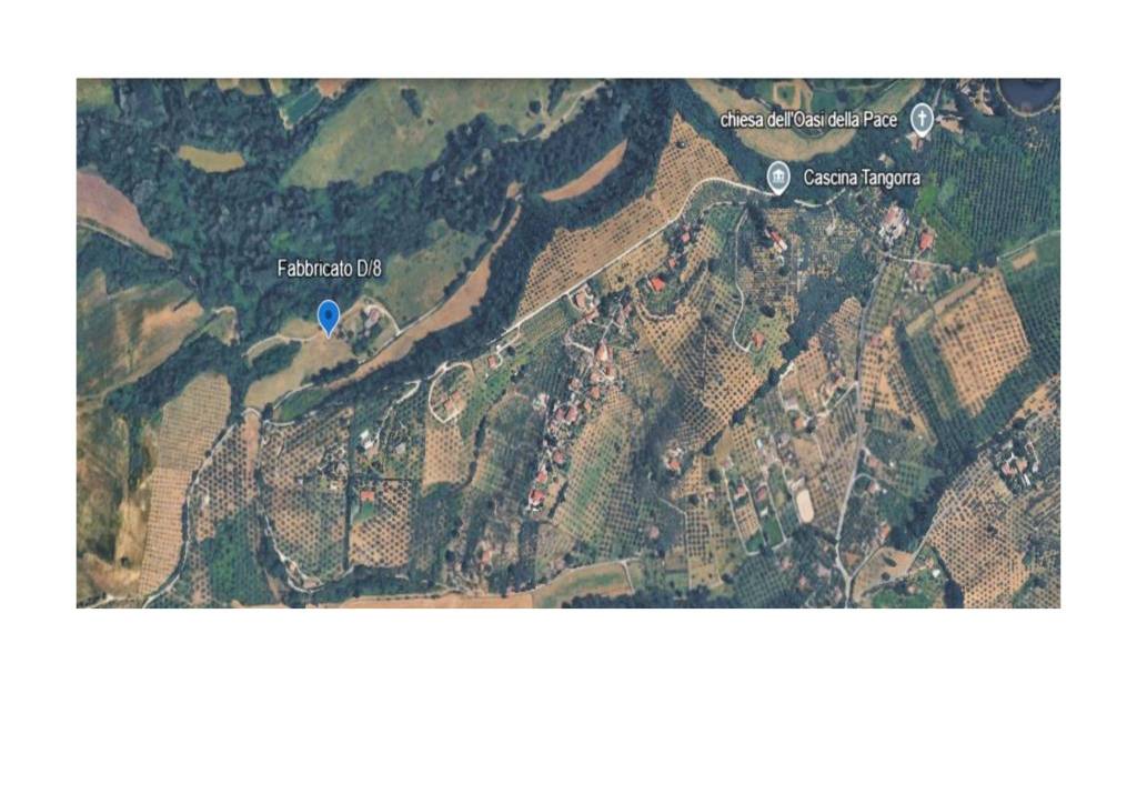 immagine annuncio 12 di 13