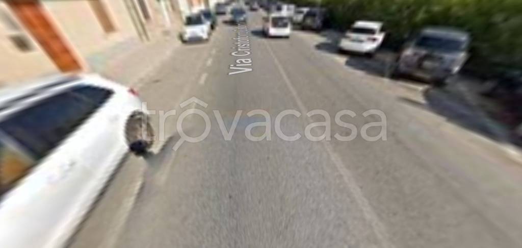 immagine annuncio 9 di 12