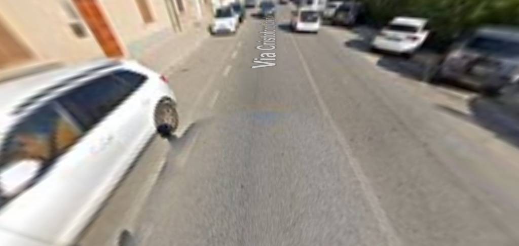 immagine annuncio 10 di 12