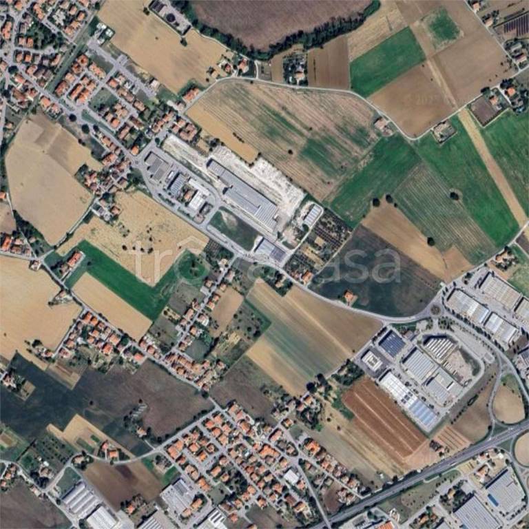 immagine annuncio 3 di 7