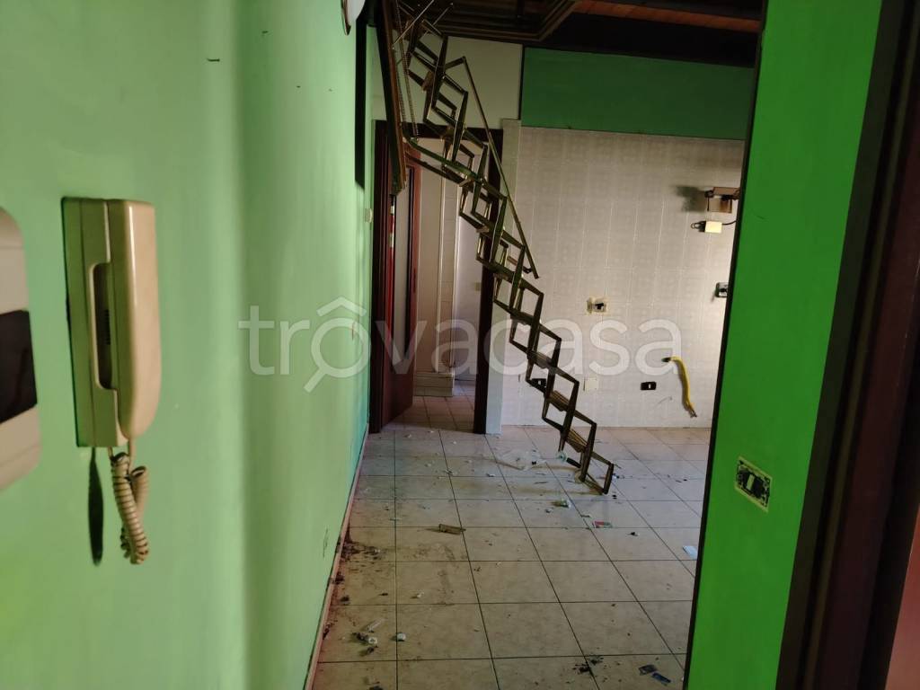 immagine annuncio 2 di 12