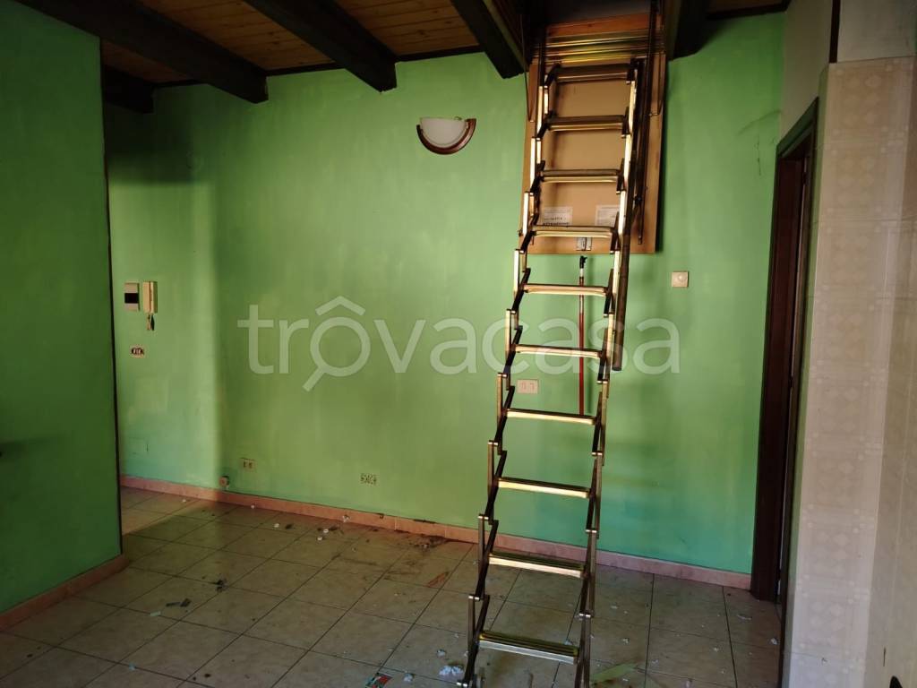 immagine annuncio 3 di 12