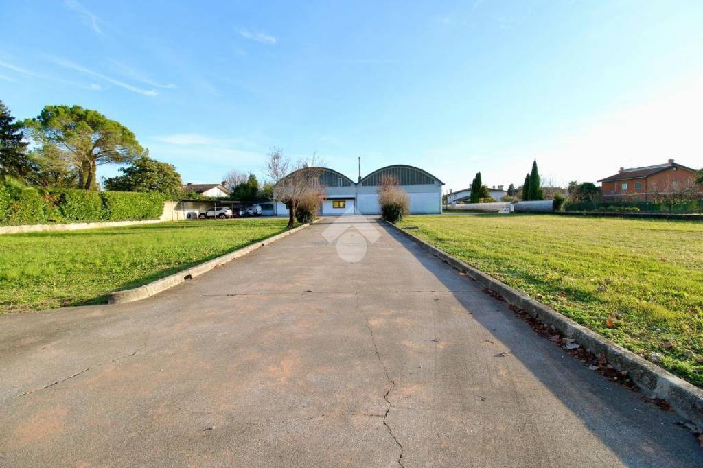 immagine annuncio 1 di 12