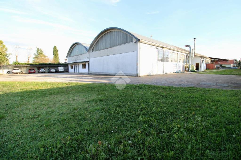 immagine annuncio 4 di 12