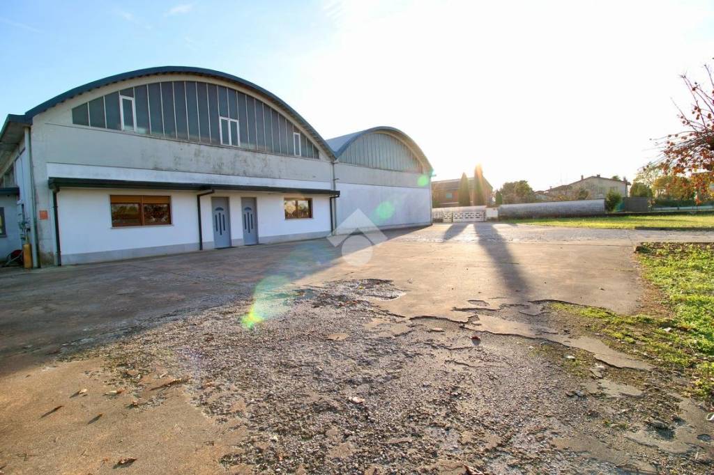 immagine annuncio 5 di 12