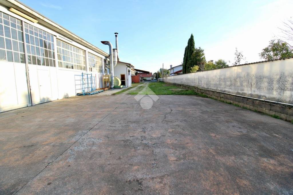 immagine annuncio 6 di 12