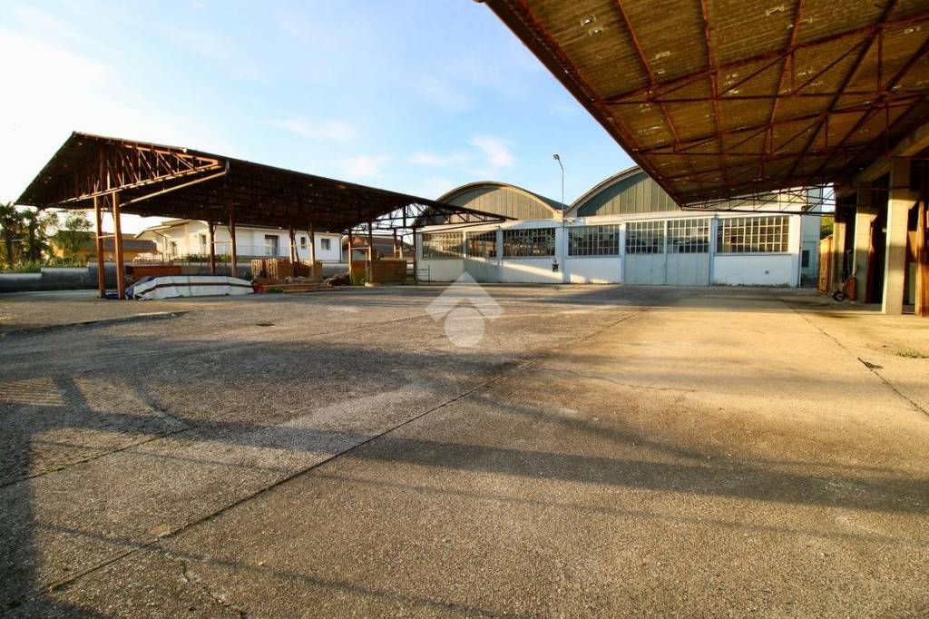 immagine annuncio 8 di 12