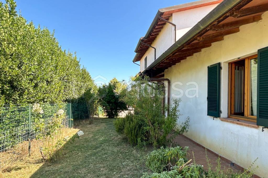 immagine annuncio 2 di 7