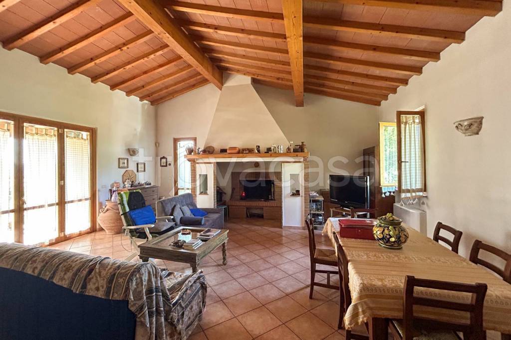 immagine annuncio 4 di 7