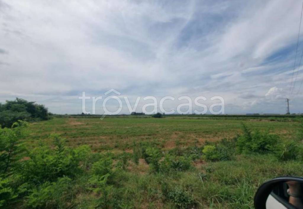 immagine annuncio 4 di 11