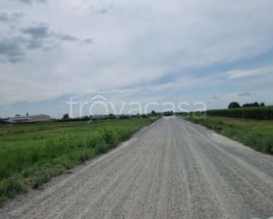 immagine annuncio 6 di 11