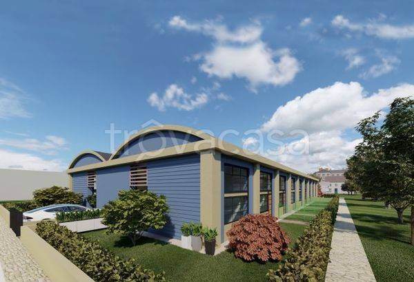 immagine annuncio 3 di 6