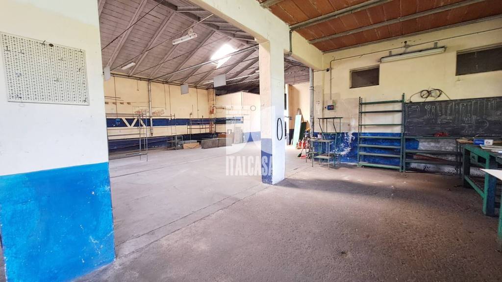 immagine annuncio 1 di 14