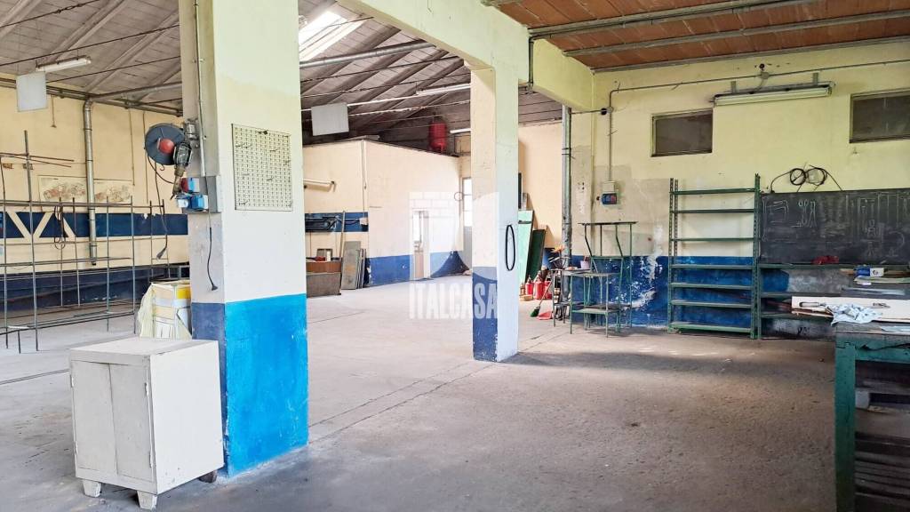 immagine annuncio 11 di 14