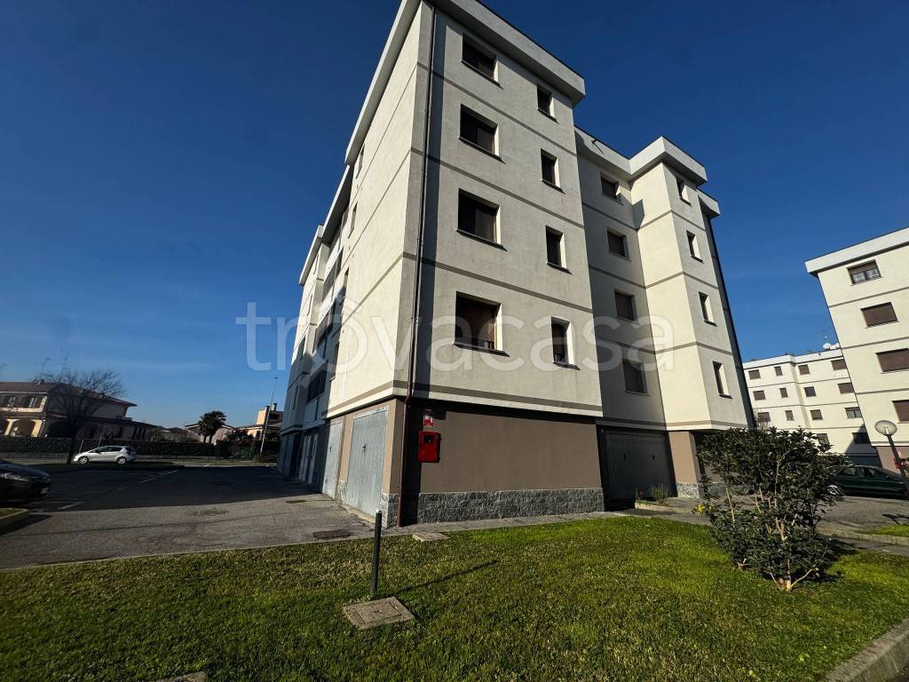 immagine annuncio 1 di 15