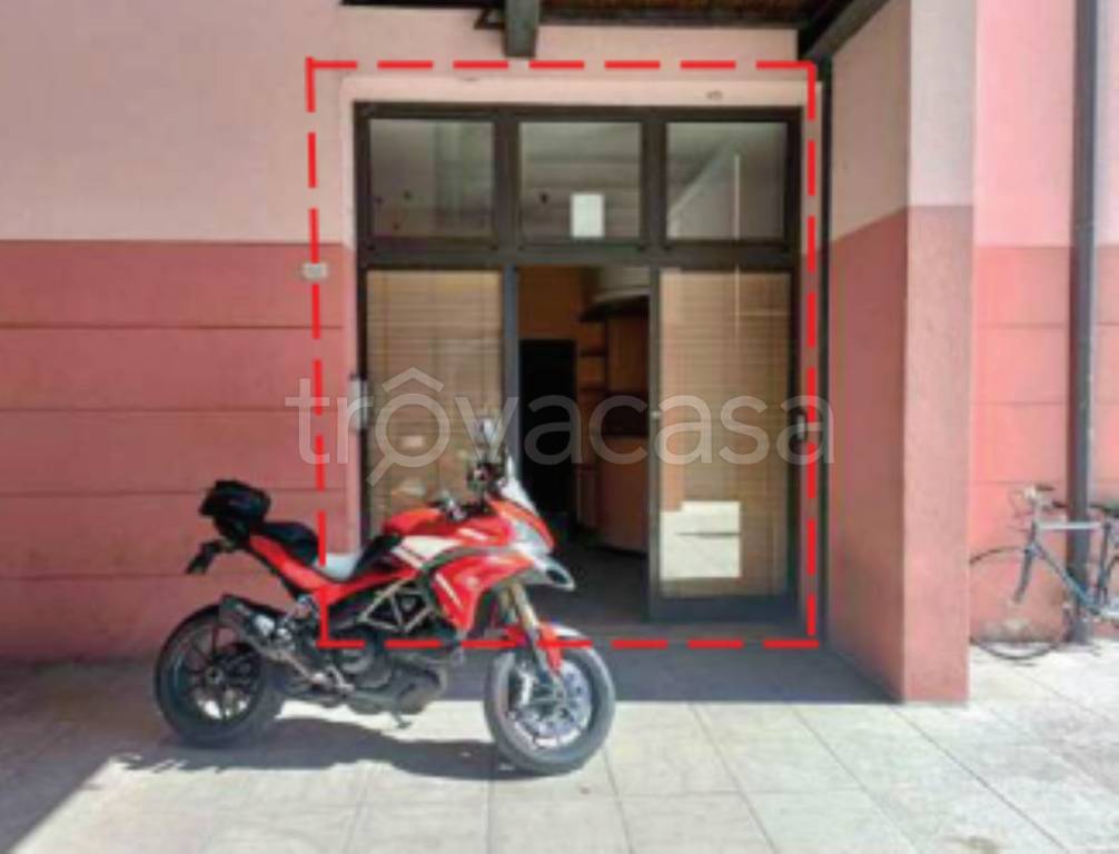 immagine annuncio 3 di 11