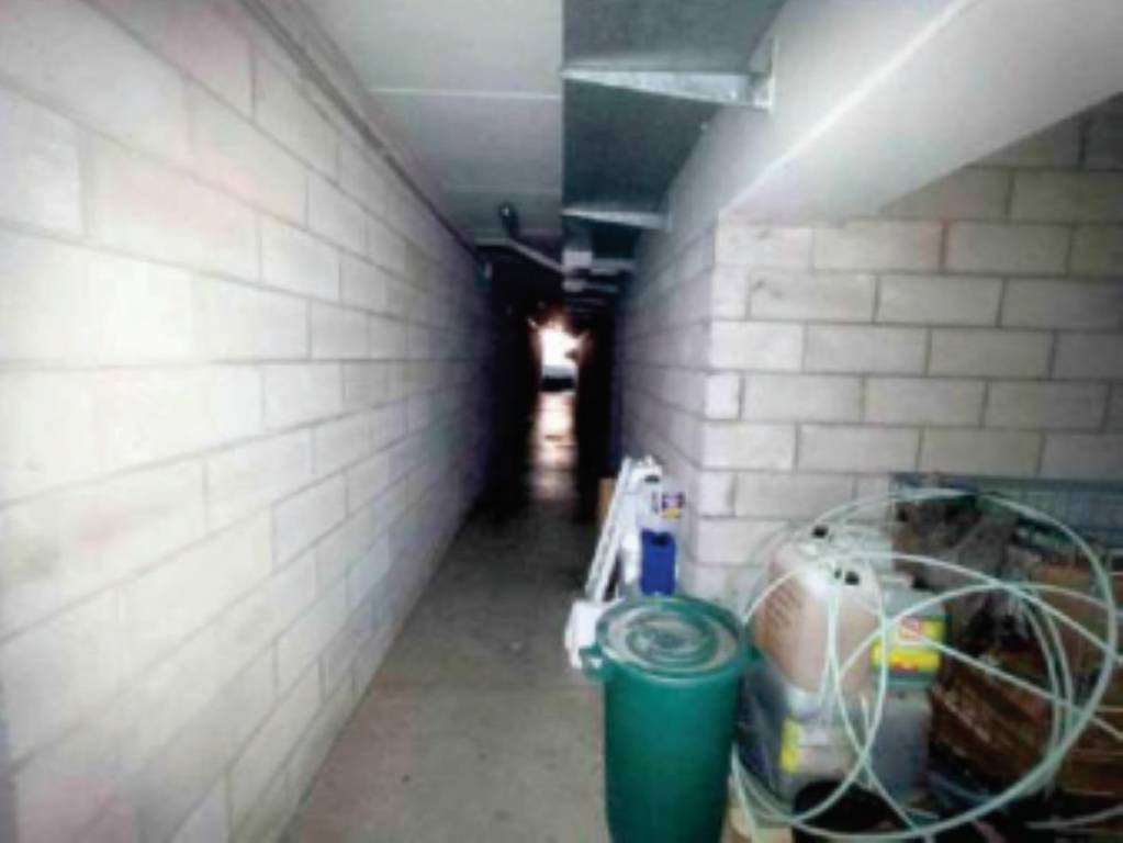 immagine annuncio 5 di 11