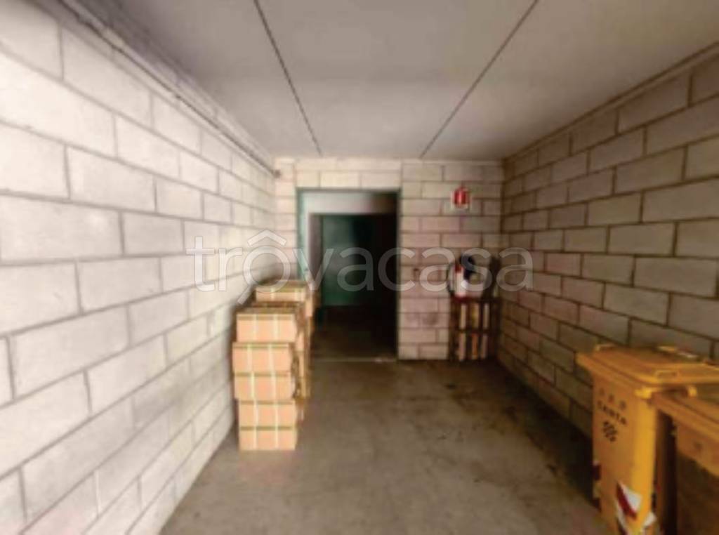 immagine annuncio 6 di 11