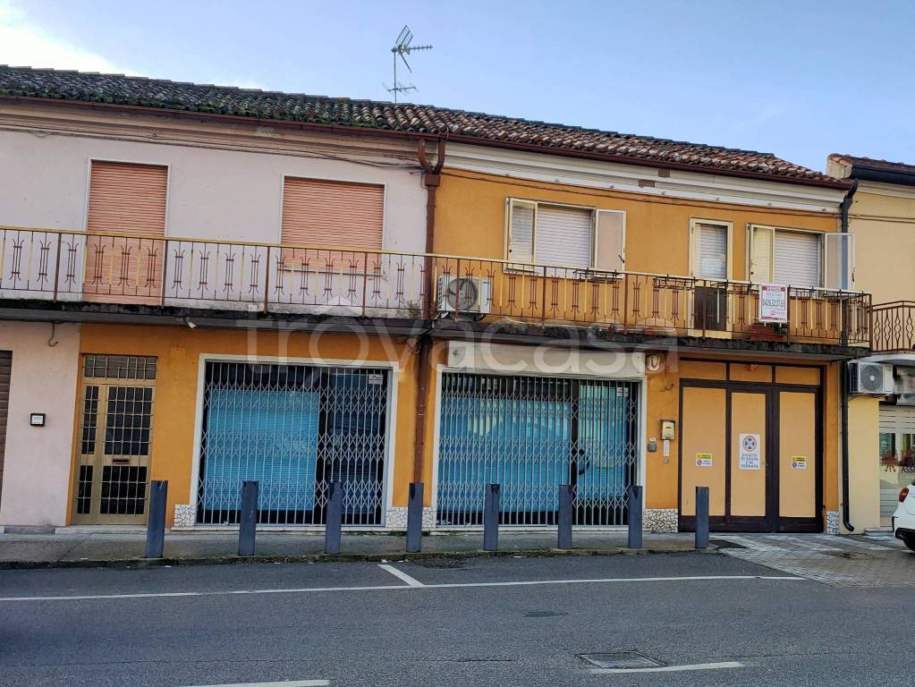 immagine annuncio 4 di 8