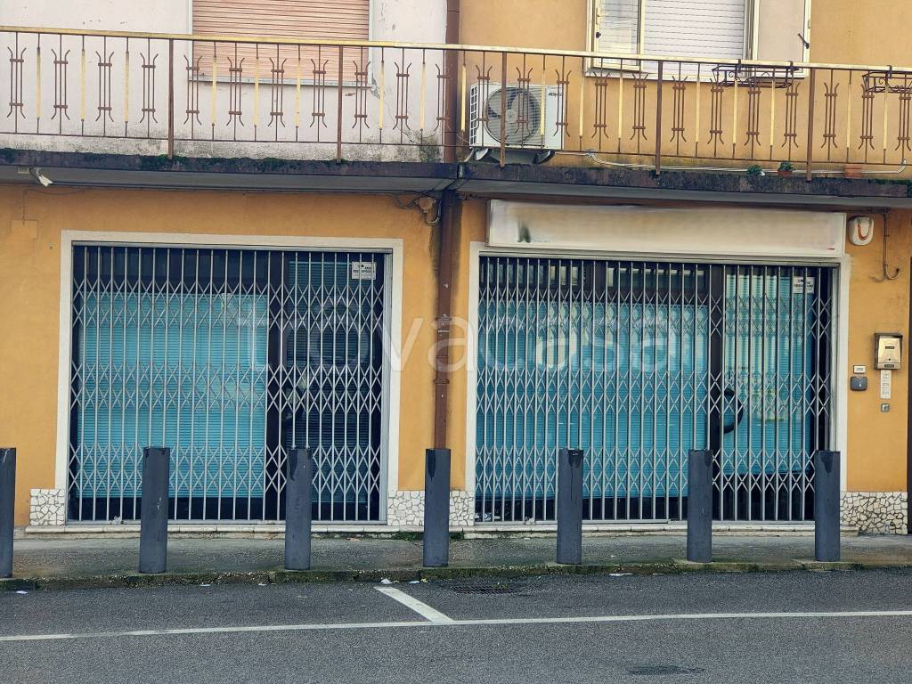 immagine annuncio 5 di 8