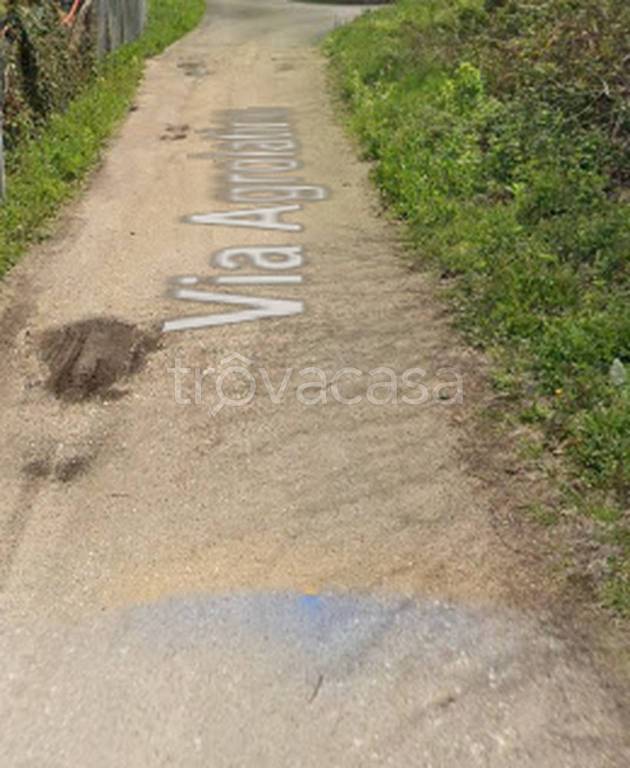 immagine annuncio 9 di 11