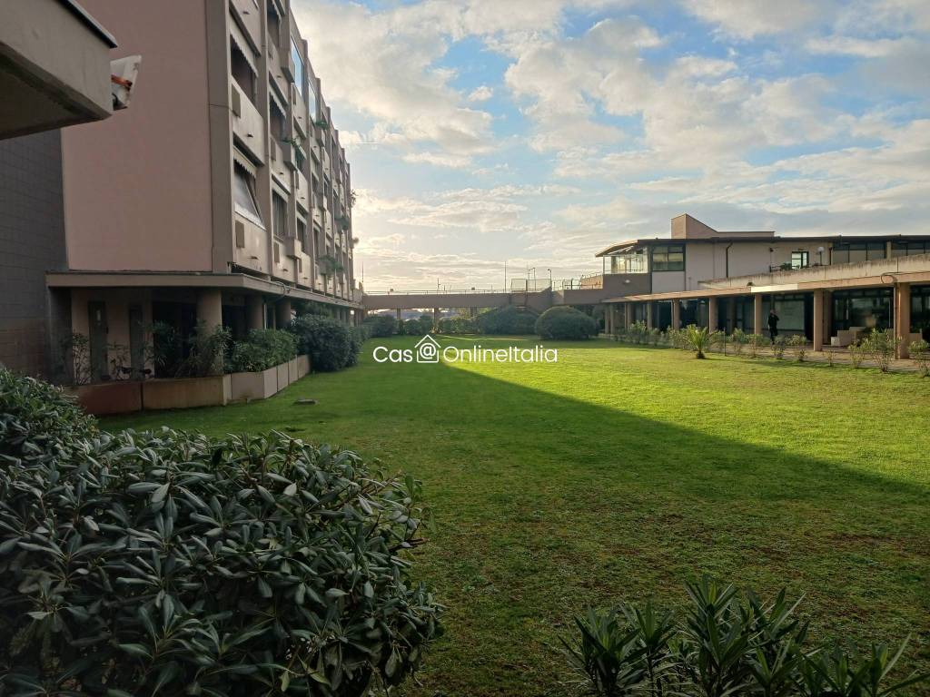 immagine annuncio 12 di 14