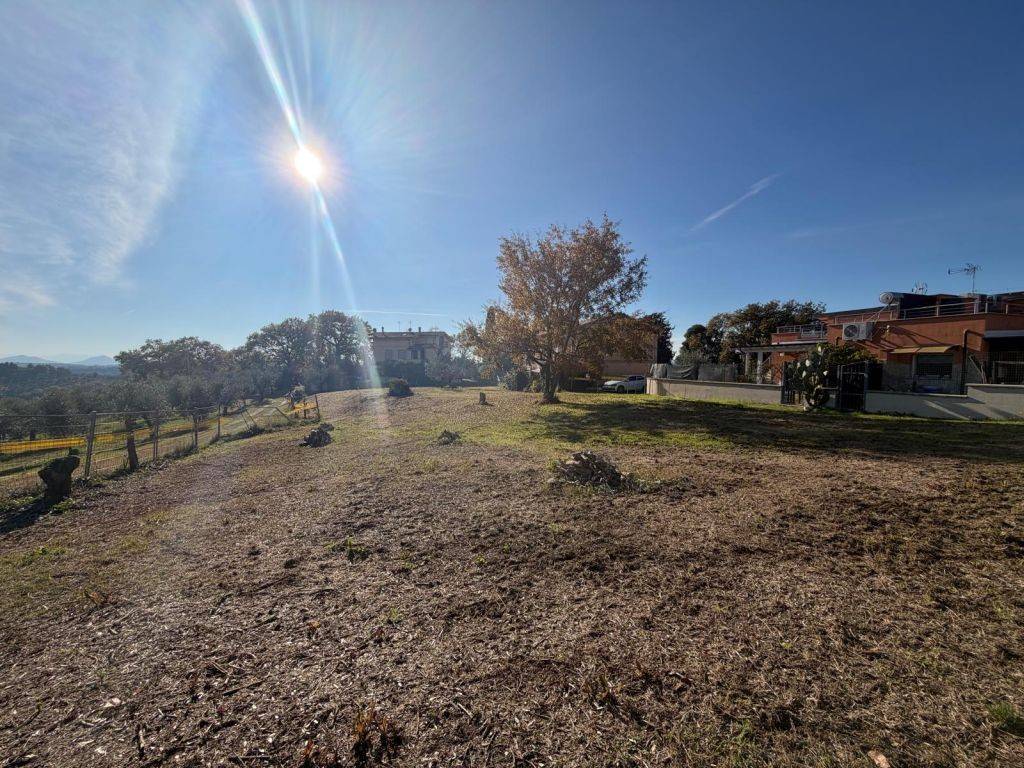 immagine annuncio 4 di 11