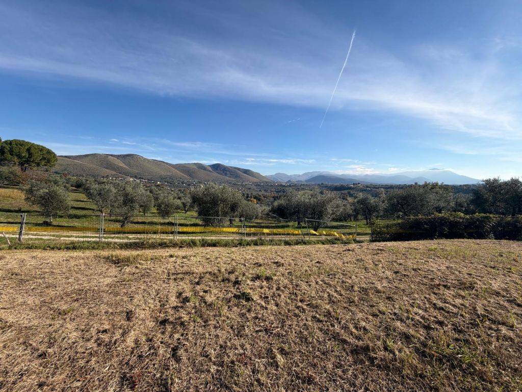 immagine annuncio 5 di 11