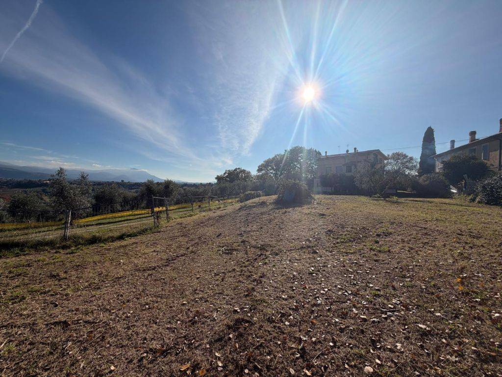 immagine annuncio 6 di 11