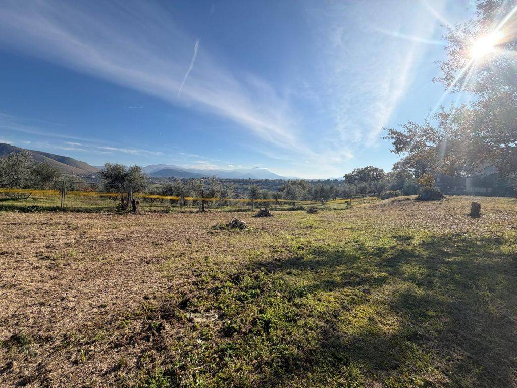 immagine annuncio 8 di 11