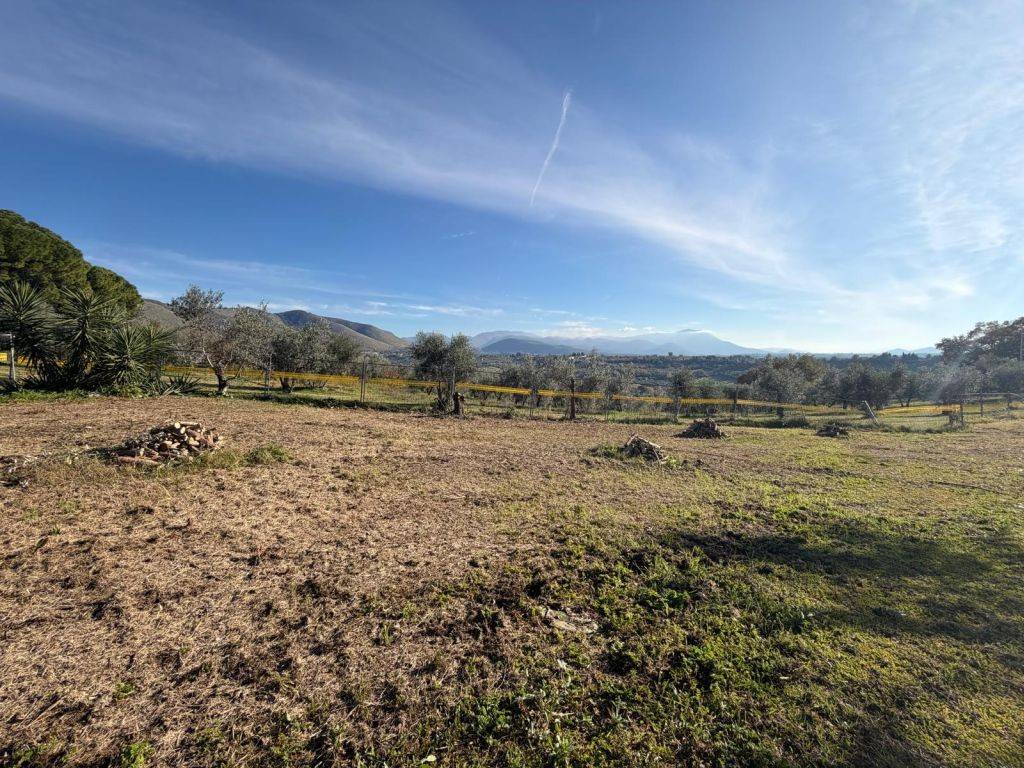 immagine annuncio 9 di 11