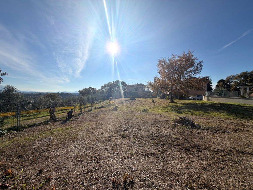 immagine annuncio 10 di 11