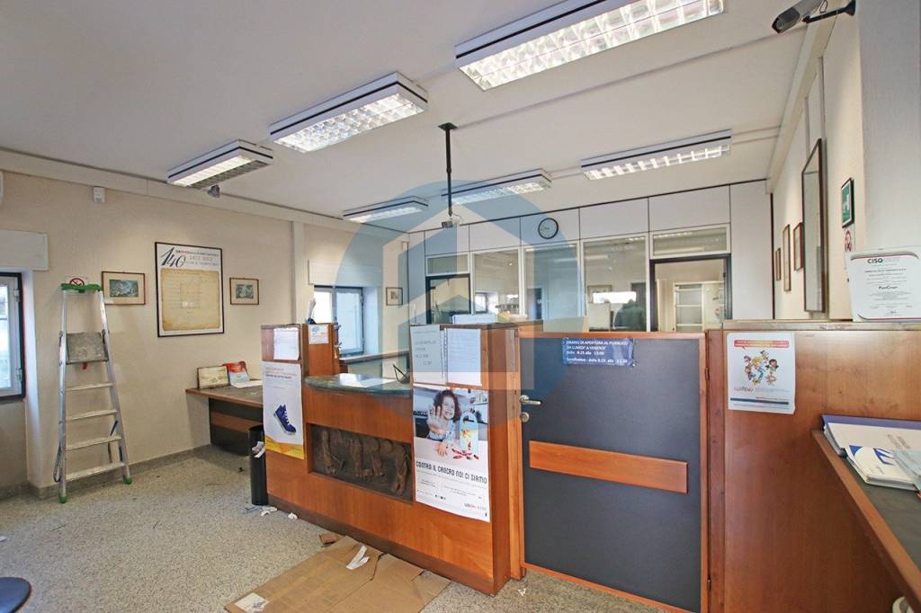 immagine annuncio 4 di 12