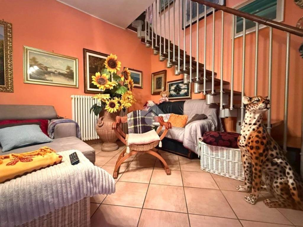 immagine annuncio 1 di 15