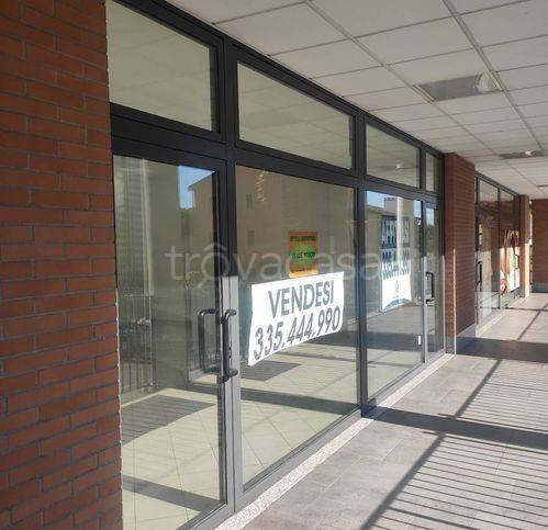 immagine annuncio 1 di 4